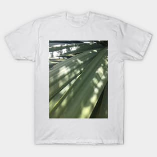 Tī Kōuka Leaves T-Shirt